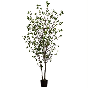Cornus Tree - 84in Green - LTC326-GR