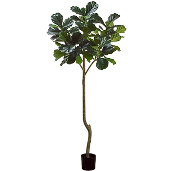 Fiddle Leaf - Topiary Tree 84in Green - LTF156-GR