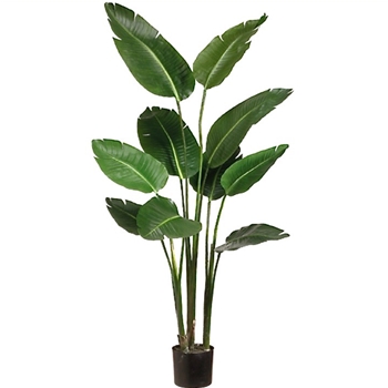 Palm - Paradise Tree 60in Green - LTB605-GR