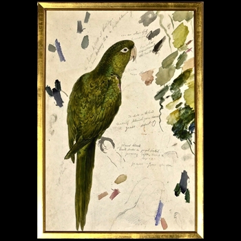 17W/25H Framed Print Lear Barnard Green Parrot SM