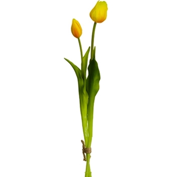 Tulip - Bundle X2 Yellow 18in - FST427-YE