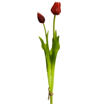 Tulip - Bundle X2 Red 18in - FST427-RE