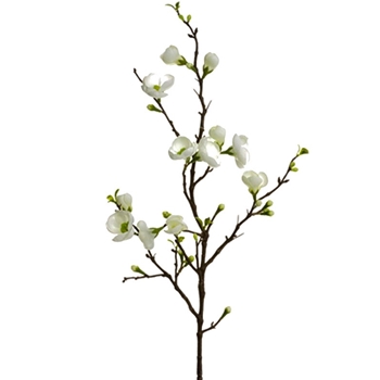 Blossom - Quince White 24in - FSB478-CR