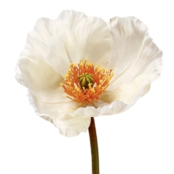 Poppy - Bloom Cream 23IN - HSP464-CR