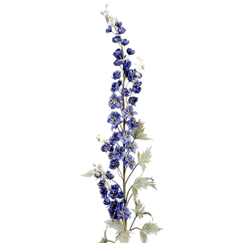 Delphinium - Blue Giant 76in - HSD076-DL/BL