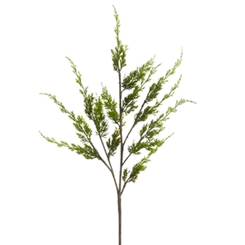Cedar - Cypress Branch 44in XL Green - YSC328-GR