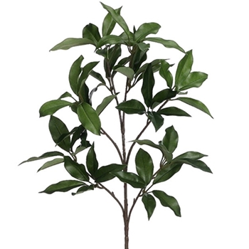 Laurel Leaf - Branch Green 24IN - PSL502-GR