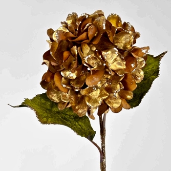 Hydrangea - Velvet Gold Antique 26in