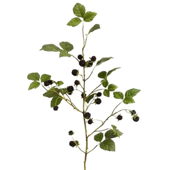 Berry - Leafy Blackberry Branch 31in - VSB671-BK