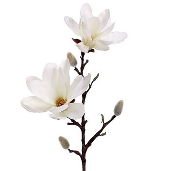 Magnolia - White 25in - FSM778-CR