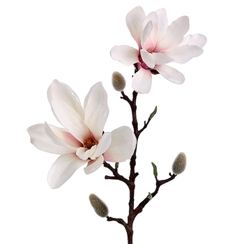 Magnolia - Blush 25in - FSM778-CR/PK