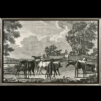 62W/42H Framed Print Equestrian I