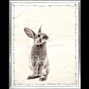 17W/21H Framed Print Le Petit Bunny