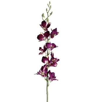 Orchid - Dendro Fuchsia 35in - FSO008-PU
