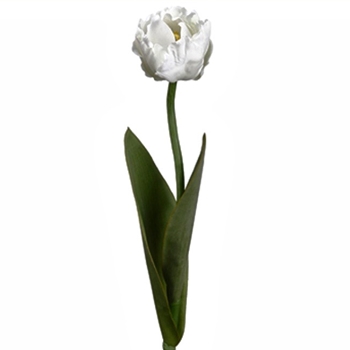 Tulip - Parrot White 24in - FST315-WH