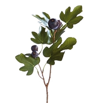 Fig - Branch Aubergine 21in