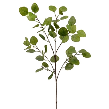 Eucalyptus - Leaf Branch Green 36in - PSE034-GR