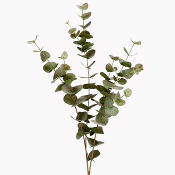 Eucalyptus - Leaf Branch 40in Green - PSE039-GR/LT