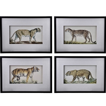 28W/20H Framed Print - Tiger 4 Styles Asst - Sold Individually