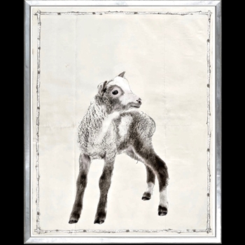17W/21H Framed Print Le petit Goat