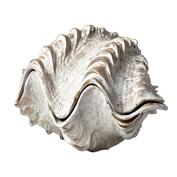 Box - Clam Shell Oyster 7W/5D/5H