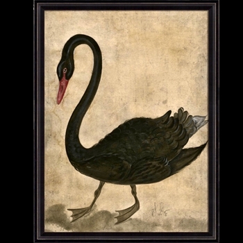 32W/42H Framed Print - Black Swan - Kolene Spicher
