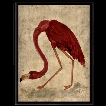 19W/26H Framed Print - Flamingo - Kolene Spicher