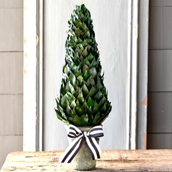 Laurel Topiary - Cone W/Bow 23IN