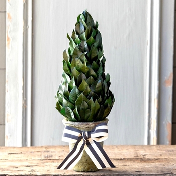Laurel Topiary - Cone W/Bow 16IN
