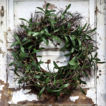 Wreath - Olive & Twig 24in