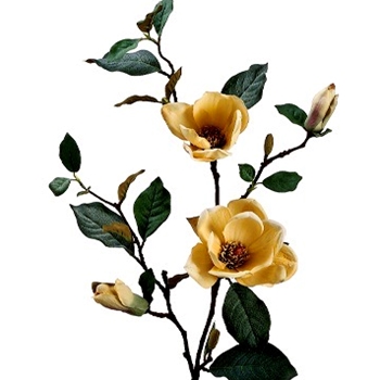 Magnolia - Bloom Ochre 35IN - GTM001-YE