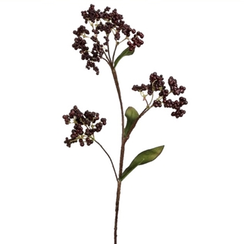 Berry - Cluster X3 Burgundy 26in