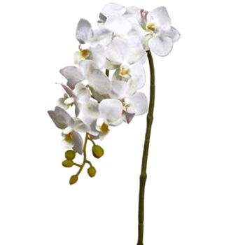 Orchid - Phalaenopsis White 22in Cascade - FSO304-WH