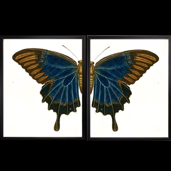 38W/25H Framed Glass Print Butterfly #KL Set2