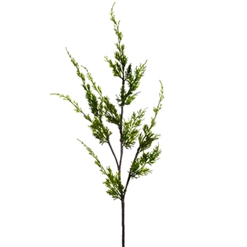 Cedar - Cypress Branch 25in Green - YSC327-GR