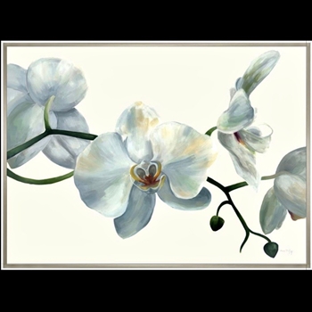 57W/43H Framed Giclee - White Orchid - Silver White Gallery Float - Ann Duffy