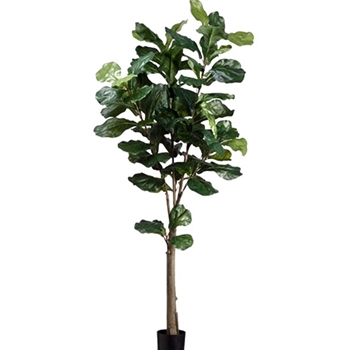 Fiddle Leaf - Tree Green 5FT - LTF435-GR