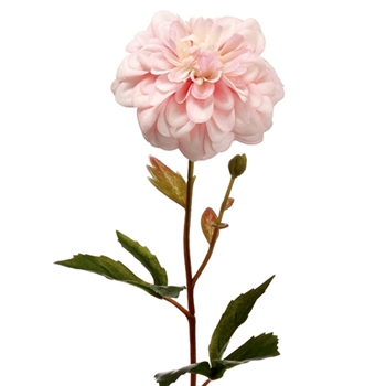 Dahlia - Petal Pink 18IN - FSD138-PK/SO