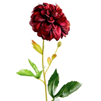 Dahlia - Berry Plum 21IN - FSD138-PL