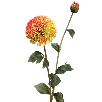 Dahlia - Pom Saffron 31IN - FSD291-SS