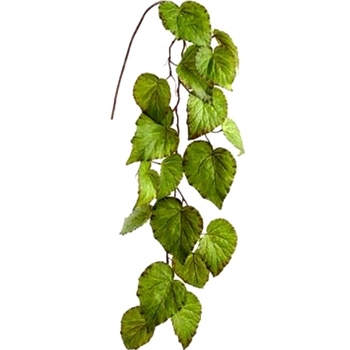 Begonia Leaf Vine - Trailing 43In Variegated Green Burgundy - PSB243-GR