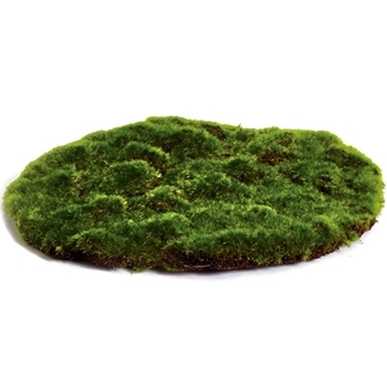 Moss - Sheet Faux - 12in Round