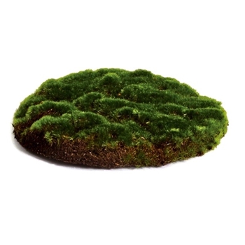 Moss - Sheet Faux - 8in Round
