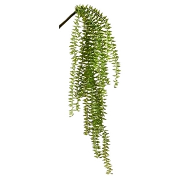 Fern - Hanging Sword Leaf Plant 24in - PBF244-GR