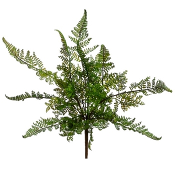 Fern - Leather Bush 15in Green - PBF581-GR