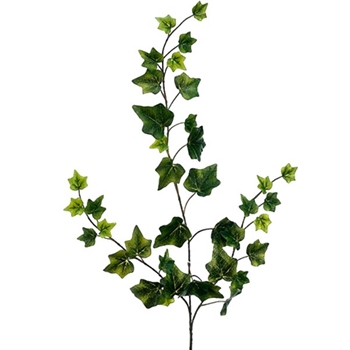 Ivy - Vine Hanging English 25in Green Variegated - PSI225-GR