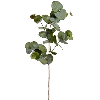 Eucalyptus - Leaf Branch Sage 34in - PSE340-GR/GY