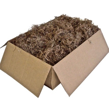 Moss - Dried Bulk Spanish Box 5LB