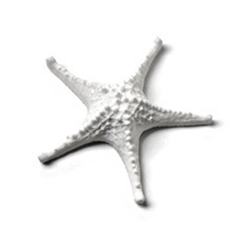 Sea Starfish Faux 4In White