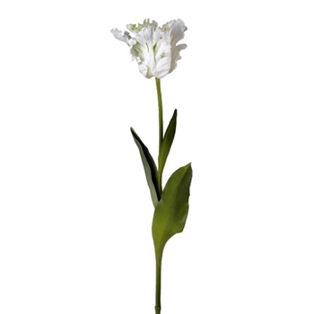 Tulip - Parrot White/Green 22in - CC327WH